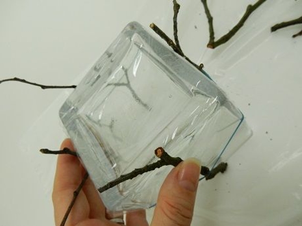 Add a two more twigs. Add a two more twigs.