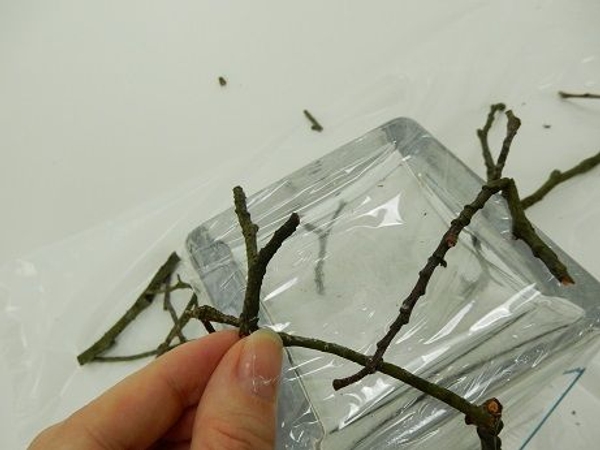 Add another twig. Add another twig.