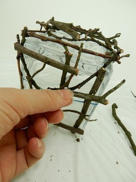 After twig After twig