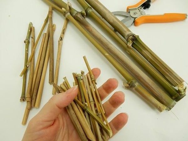 Cut 16 pieces of very thin bamboo Cut 16 pieces of very thin bamboo