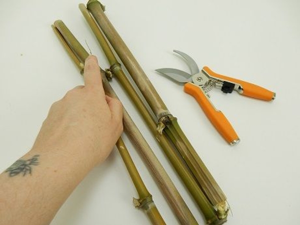 Cut 4 thick pieces om bamboo Cut 4 thick pieces om bamboo