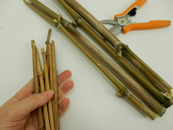 Cut 8 thinner pieces of bamboo.