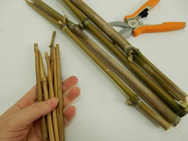 Cut 8 thinner pieces of bamboo. Cut 8 thinner pieces of bamboo.