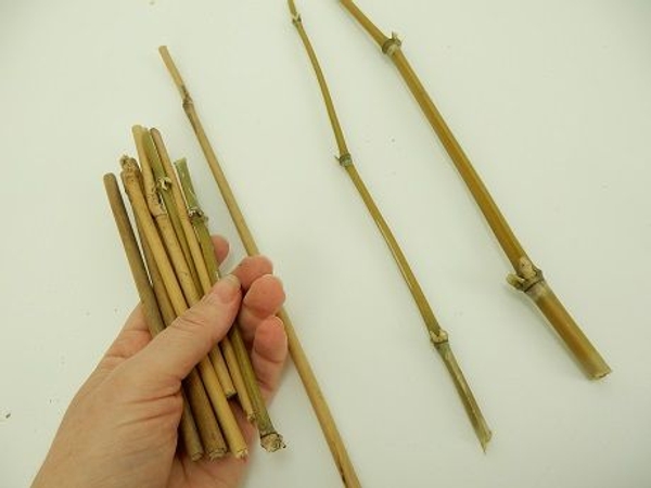 Cut the bamboo into three long and a few shorter pieces Cut the bamboo into three long and a few shorter pieces