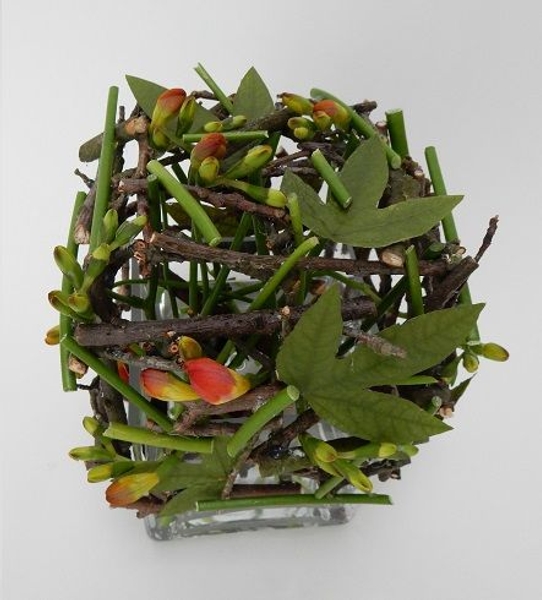 Freesia buds and twigs over a cube vase