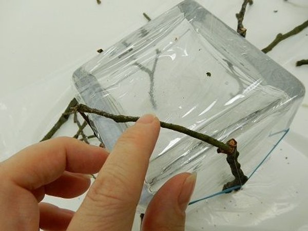 Glue a twig on the bottom side of the vase Glue a twig on the bottom side of the vase