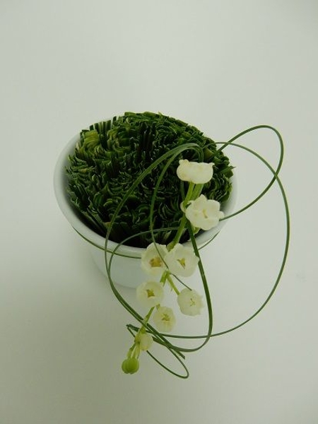 Lily of the valley and grass Lily of the valley and grass