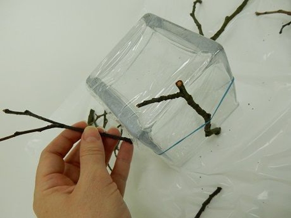 Place a second twig. Place a second twig.