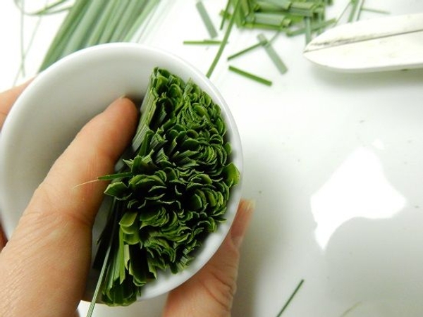 Place the first hand full of short blades of grass in a small container. Place the first hand full of short blades of grass in a small container.