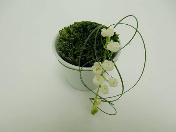 Tie the lily of the valle with grass