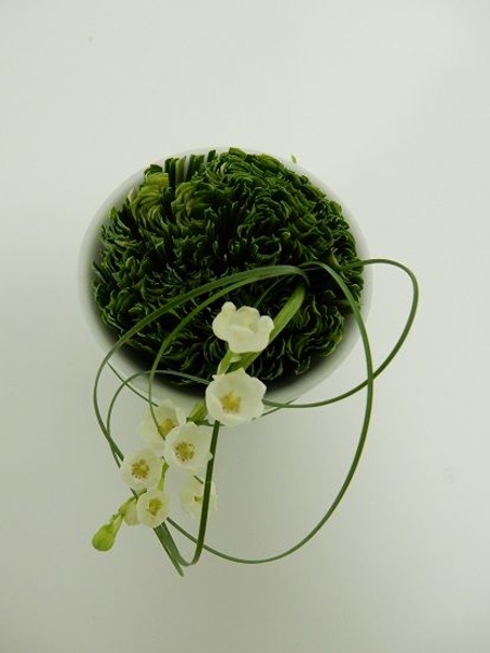 Twirling grass around lily of the valley Twirling grass around lily of the valley