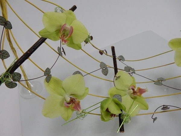 Hang the flowers on a music bar Hang the flowers on a music bar