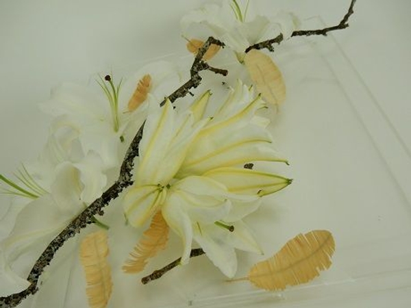 Lilies in a clear tray Lilies in a clear tray
