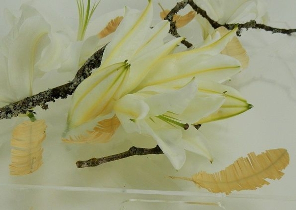 lily floral art design lily floral art design