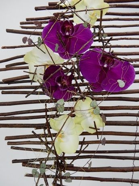 Orchids and rosary vine Orchids and rosary vine