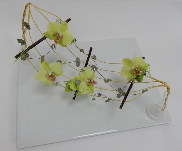 Phalaenopsis orchids and rosary vine design. Phalaenopsis orchids and rosary vine design.