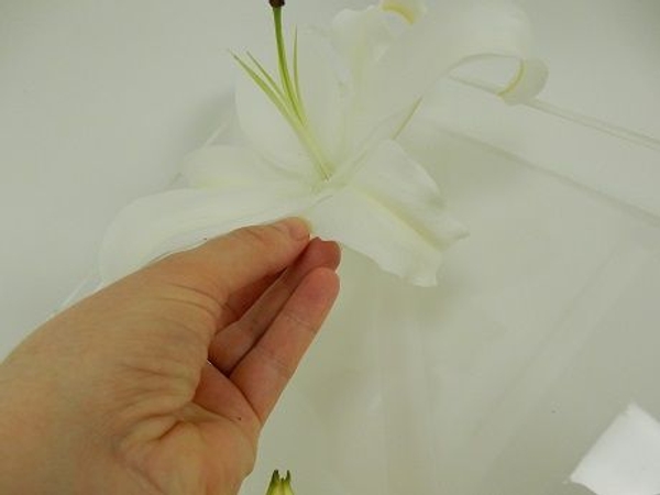 Set the flowers into the grid Set the flowers into the grid