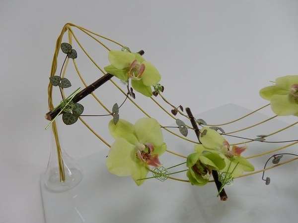 Suspended design Suspended design