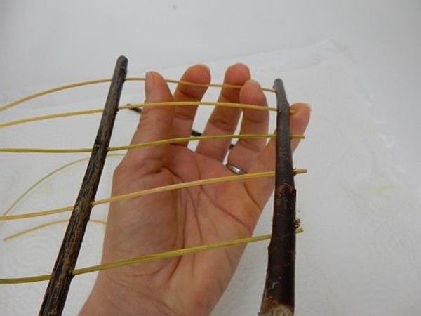 Thread in the second twig Thread in the second twig