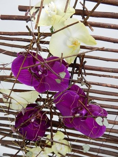 Twig armature for phalaenopsis orchids and rosary vine Twig armature for phalaenopsis orchids and rosary vine