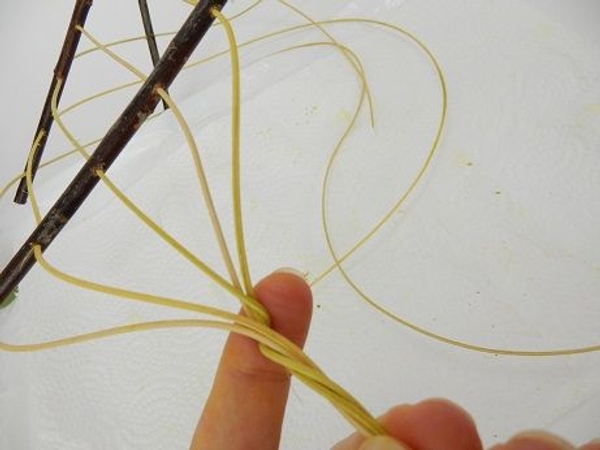 Twist the wet cane together Twist the wet cane together
