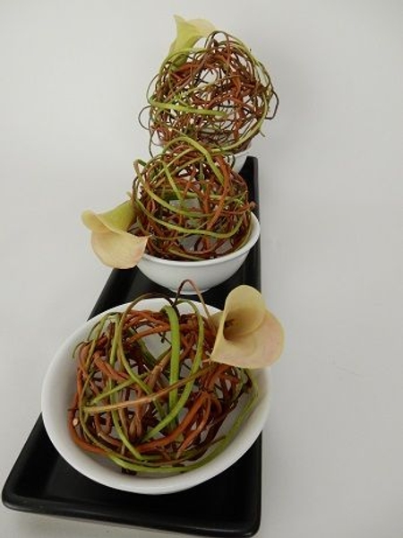 Line up the three willow spheres Line up the three willow spheres