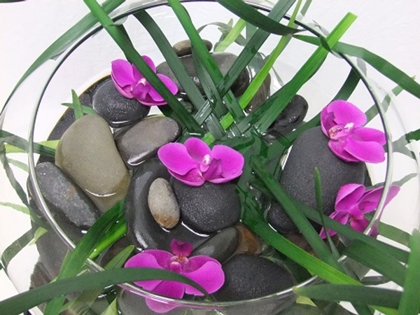 Pebbles, grass and butterfly orchids Pebbles, grass and butterfly orchids