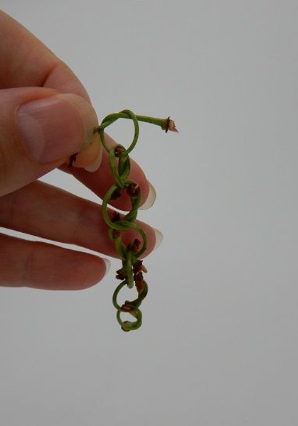 To create a long chain like garland To create a long chain like garland