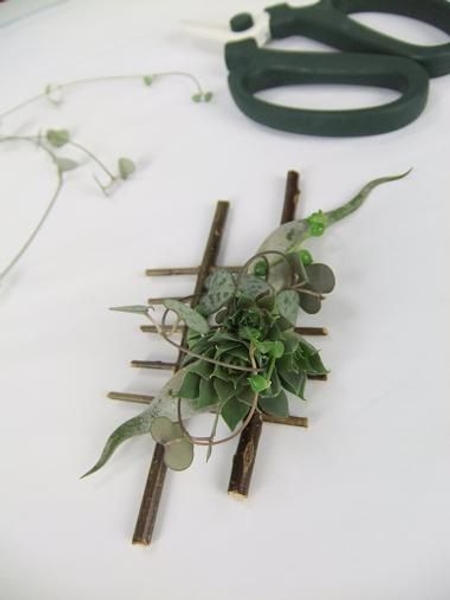 Using Tillandsia leaves in a design Using Tillandsia leaves in a design