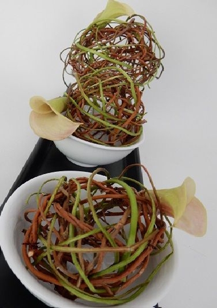 Weaving willow spheres Weaving willow spheres