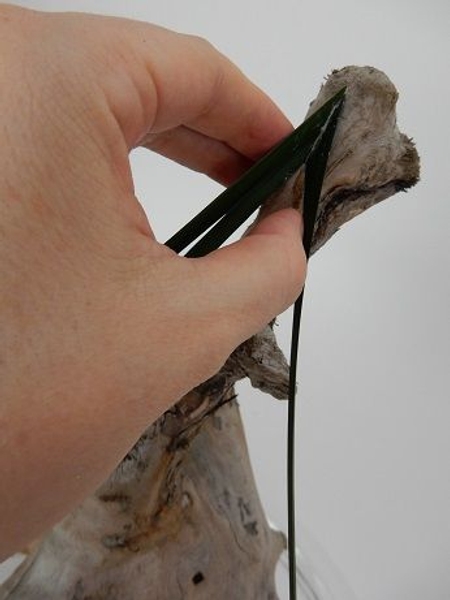 Add another blade of grass below the first one Add another blade of grass below the first one