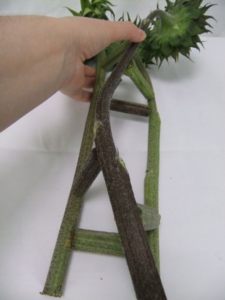 Add another truss piece to connect the third flower stem with the second Add another truss piece to connect the third flower stem with the second