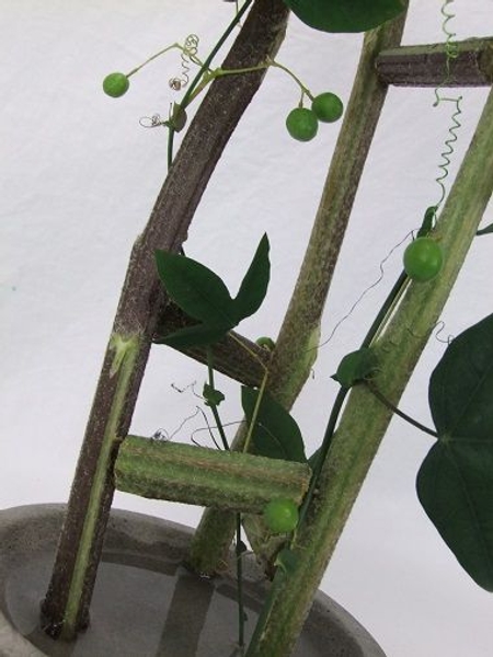 Connect the stems to create a free standing design Connect the stems to create a free standing design