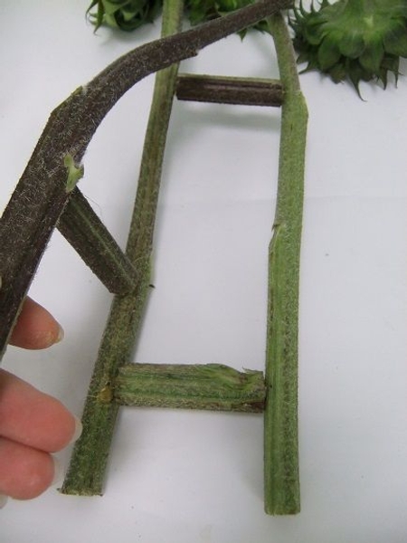 Connect the third stem with the first with another truss piece Connect the third stem with the first with another truss piece