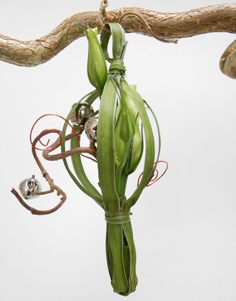 Jingle bells in a grass lantern Jingle bells in a grass lantern
