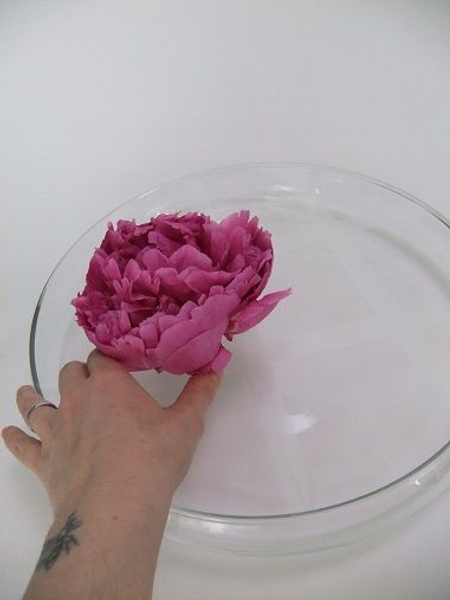 Let the flowers rest on the sticky tape Let the flowers rest on the sticky tape