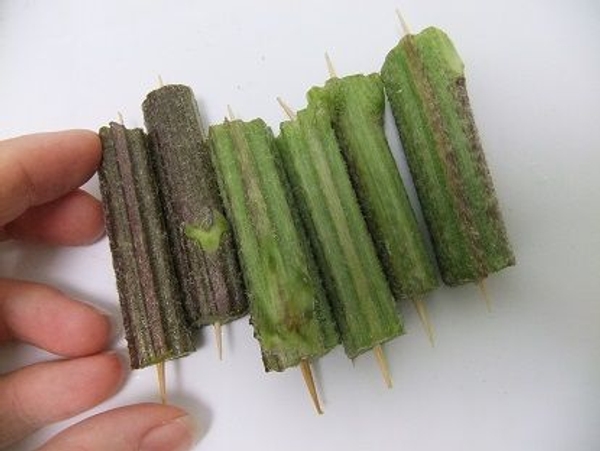 Make sure the skewers are straight and fit tightly Make sure the skewers are straight and fit tightly