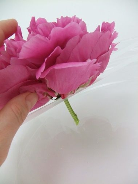 Measure the stems to be just shorter than the depth of the container Measure the stems to be just shorter than the depth of the container
