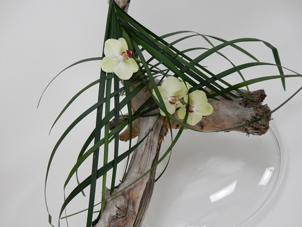 Phalaenopsis orchids, grass and driftwood Phalaenopsis orchids, grass and driftwood