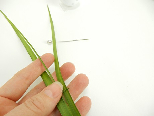 Split a palm leaf to remove the hard middle vain