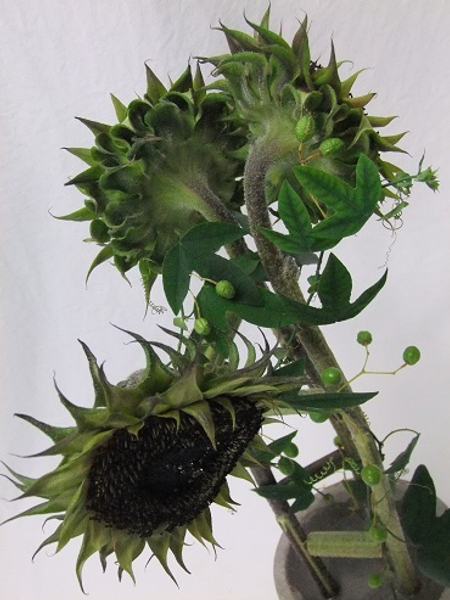 Sunflower and passion fruit vine design