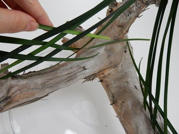 Use the harder stem part of the grass to guide the blade Use the harder stem part of the grass to guide the blade