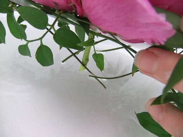 With the stems in the water below With the stems in the water below