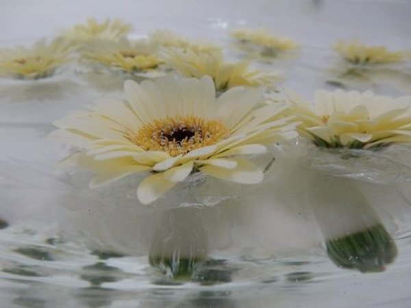 And float the flowers And float the flowers