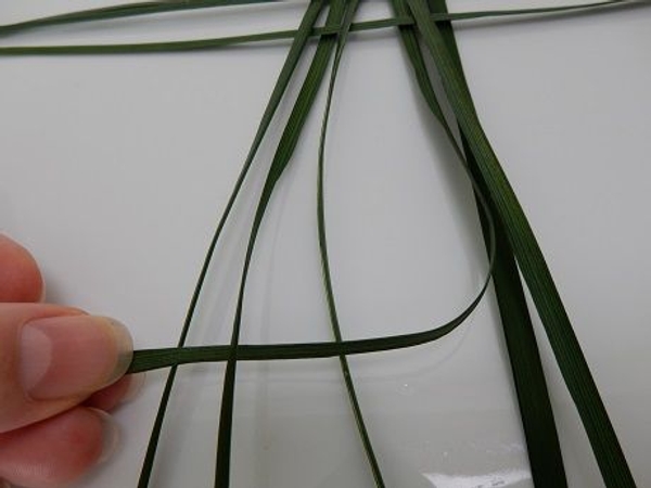 Bend the first right blade left Bend the first right blade left