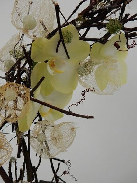 Butterfly orchids and skeleton pods