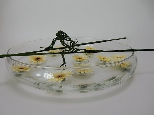 Fold a foliage frog Fold a foliage frog