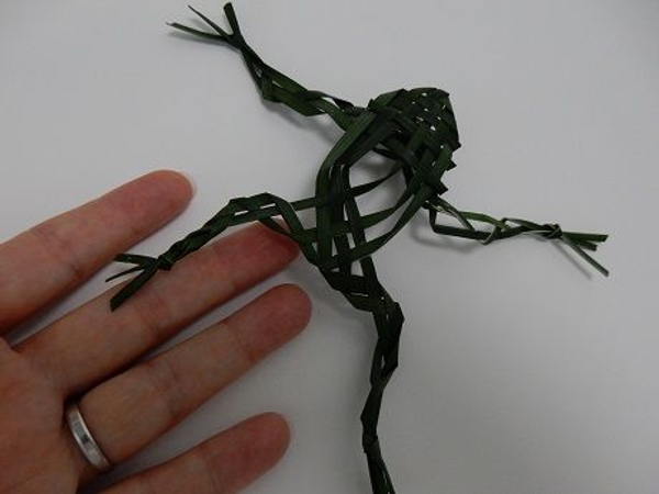 Grass froggy ready to design with Grass froggy ready to design with