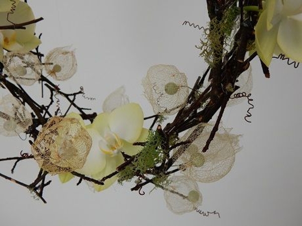 Phalaenopsis orchids and skeleton Chinese lantern sepals Phalaenopsis orchids and skeleton Chinese lantern sepals