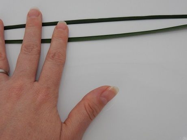 Place two blades of grass horizontally on a working surface Place two blades of grass horizontally on a working surface
